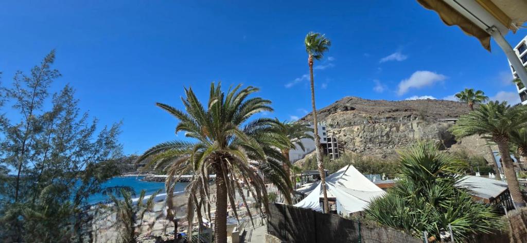 Patalavaca Beach - Image 15